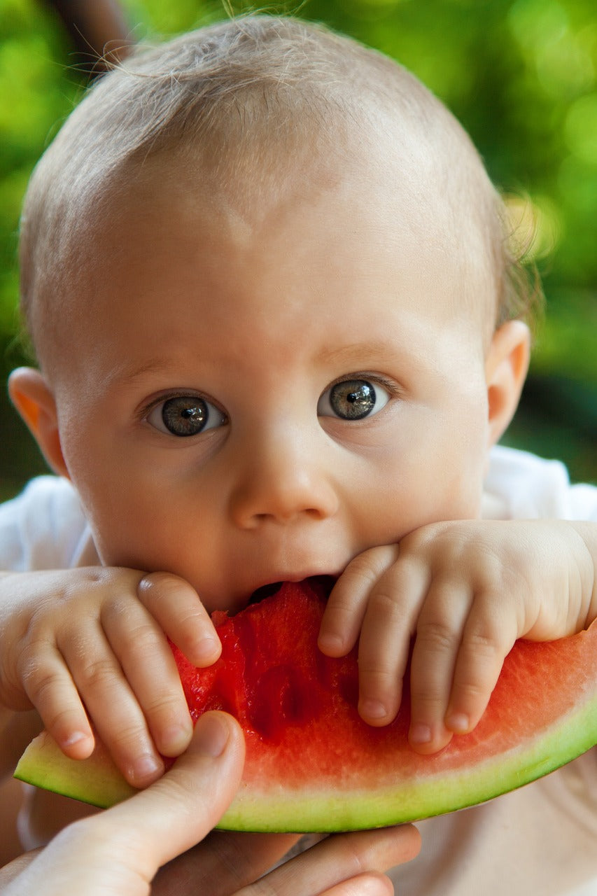 Les différents types de nourriture pour bébé et comment choisir ce qui convient le mieux